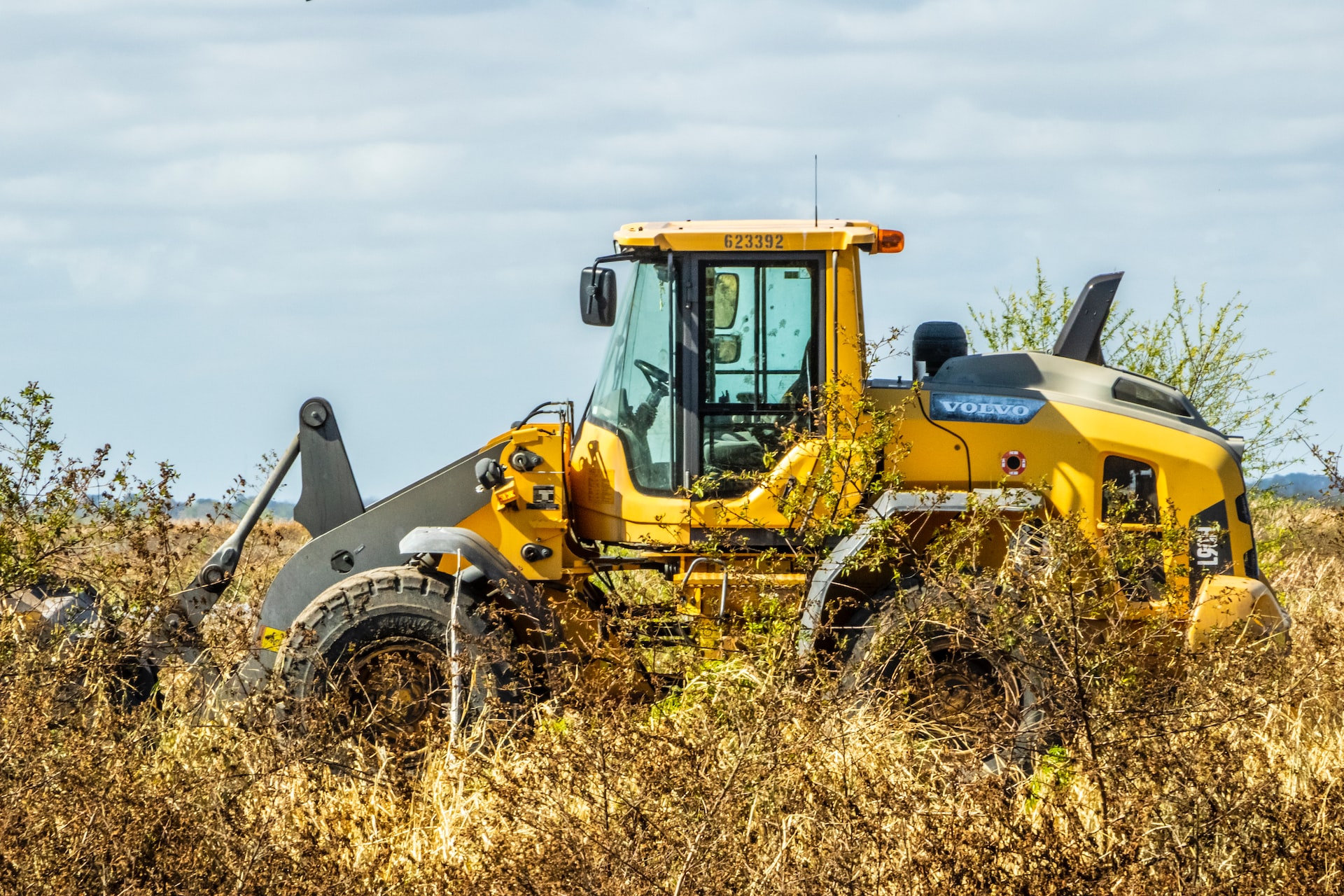 hyra bobcat